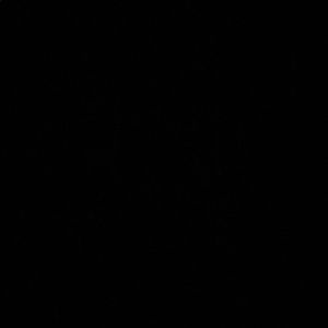 Meet your Posher, Manuel